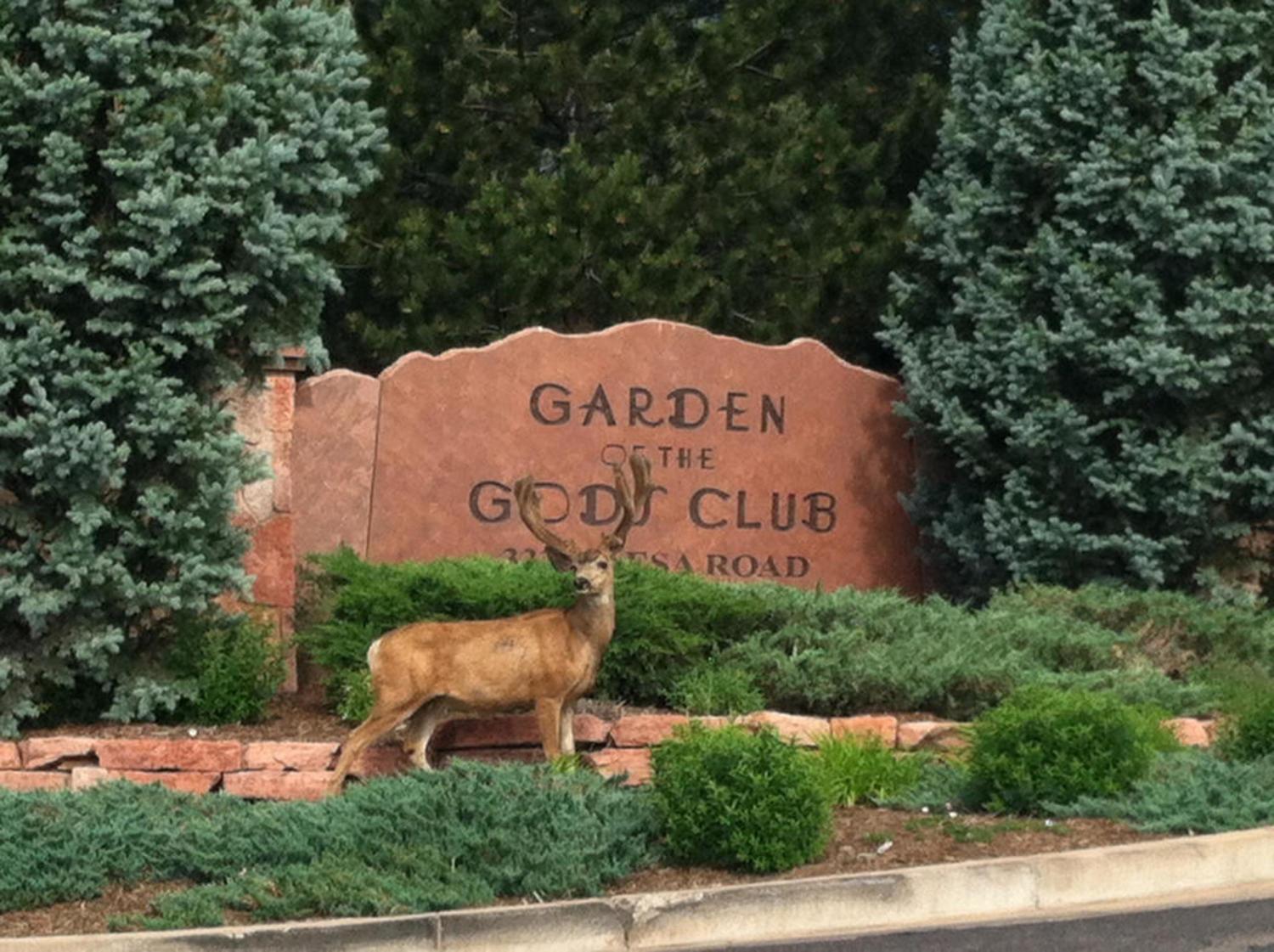 Garden Of The Gods Resort & Club Colorado Springs Kültér fotó